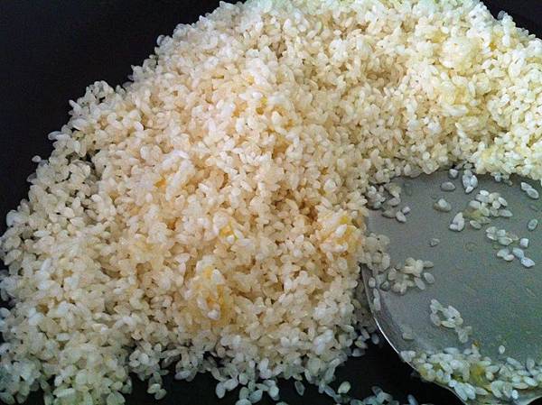 rice 022