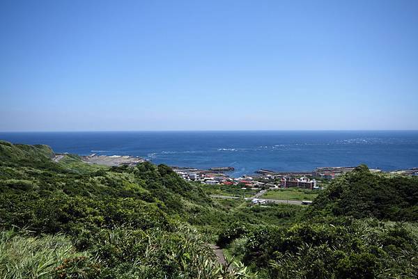 IMG_6486 IMG_6486