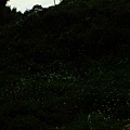 IMG_4745.JPG