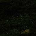 IMG_4744.JPG