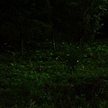IMG_4755.JPG