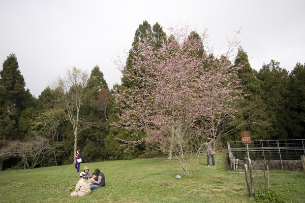 IMG_7699.JPG IMG_7699.JPG