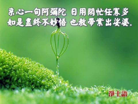 一念不生全體現 一念方動烏雲遮