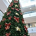 聖誕樹@City Centre Mall