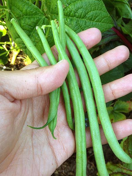 IMG_5412 拷貝.jpg IMG_5412 拷貝.jpg