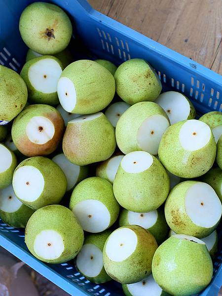 IMG_2557.jpg IMG_2557.jpg