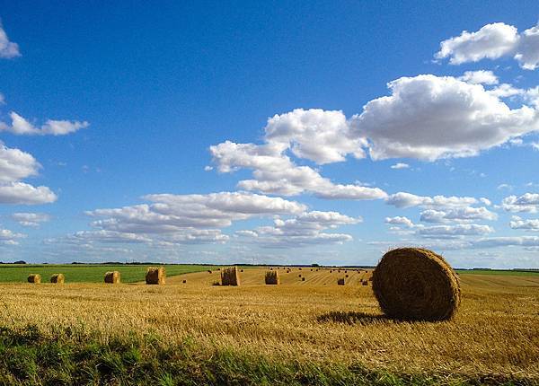 20130819-IMG_5594 拷貝.jpg 20130819-IMG_5594 拷貝.jpg