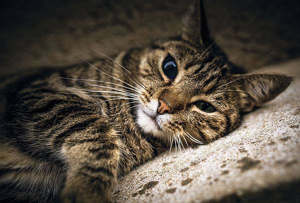 20130805-IMG_3791 拷貝.jpg 20130805-IMG_3791 拷貝.jpg