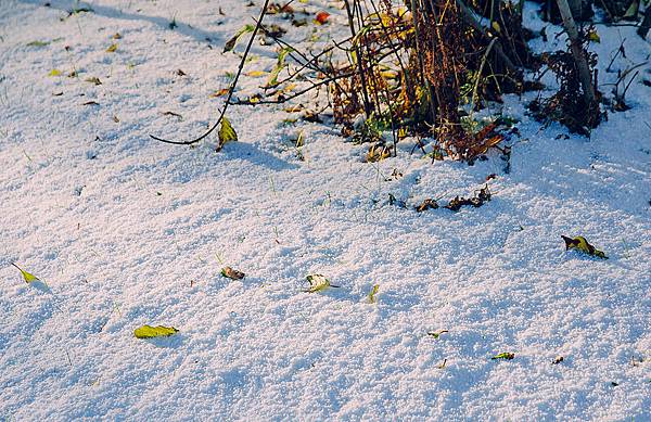 20131016-IMG_0060.jpg 20131016-IMG_0060.jpg