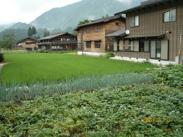 合掌村的房舍一景