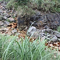 IMG_0057.JPG