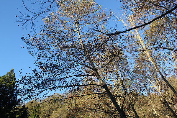 IMG_0249.JPG