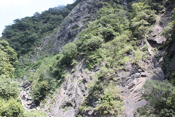 IMG_0040.JPG