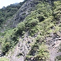 IMG_0040.JPG