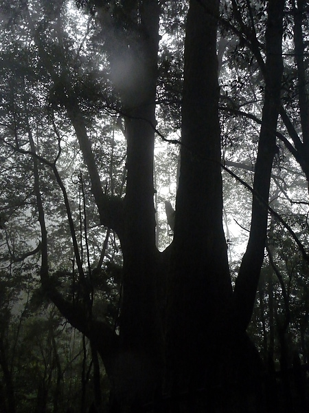 P1010199.JPG