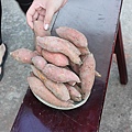 IMG_0133.JPG