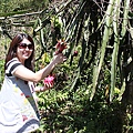 IMG_0026.JPG