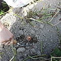 IMG_0151.JPG