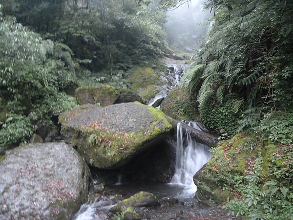P1010195.JPG