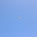 IMG_0040.JPG