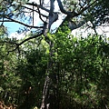 IMG_0054.JPG