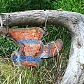 IMG_0037.JPG
