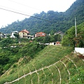 IMG_0011.JPG