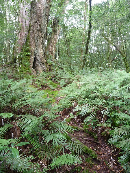P1010261.JPG