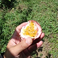 IMG_0040.JPG