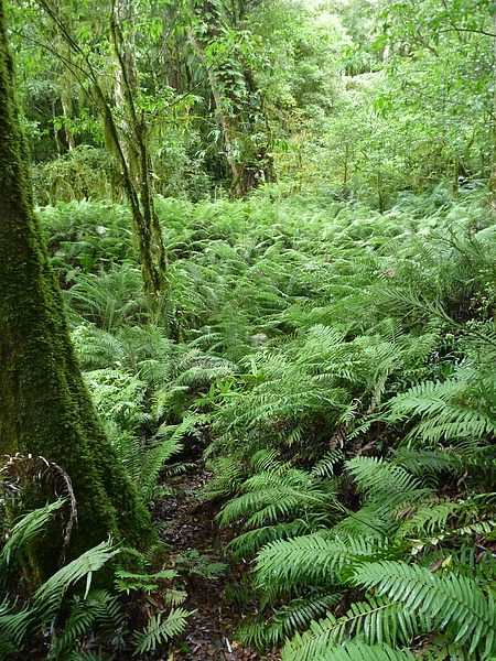 P1010266.JPG