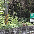 IMG_0055.JPG