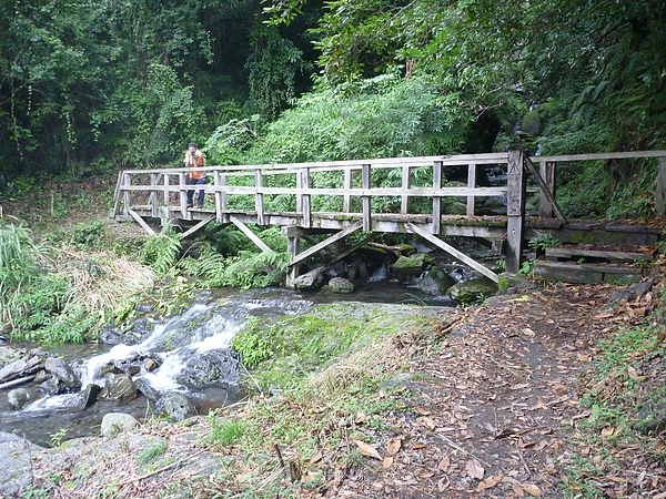 P1010162.JPG