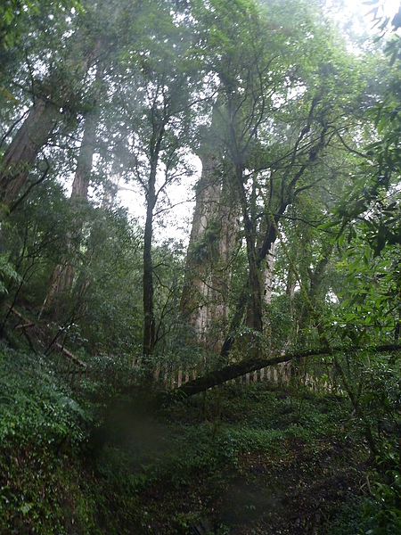 P1010213.JPG