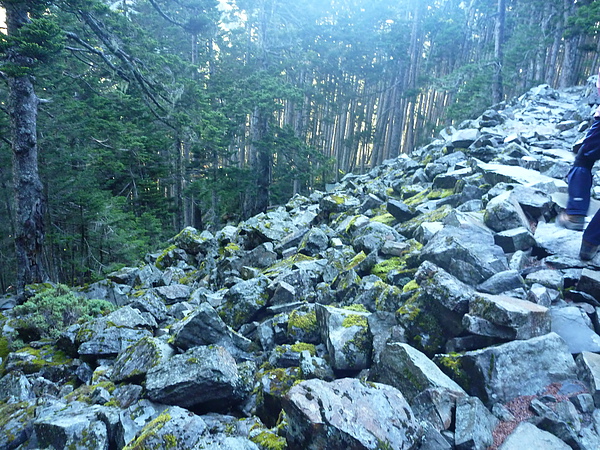 P1010758.JPG