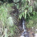 IMG_0053.JPG