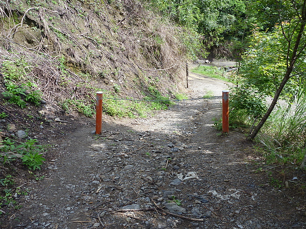 P1010248.JPG