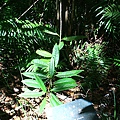 IMG_0064.JPG