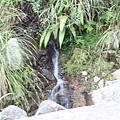 IMG_0054.JPG