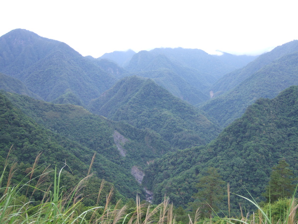 DSCF0868.JPG