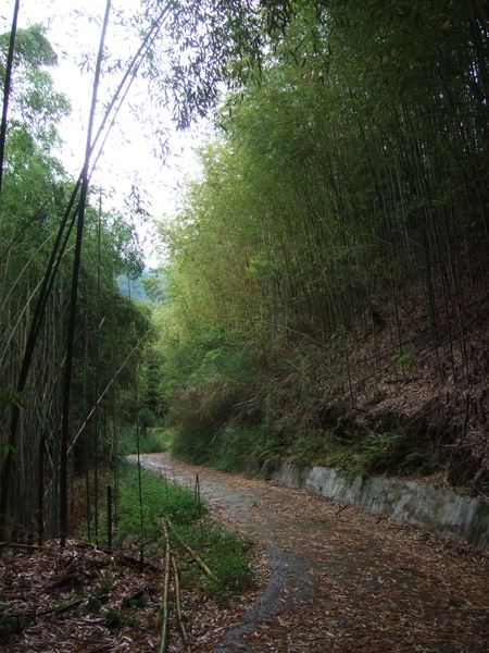DSCF0876.JPG