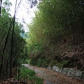 DSCF0876.JPG