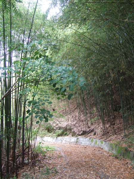 DSCF0878.JPG