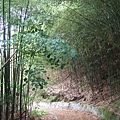 DSCF0878.JPG