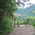 DSCF0879.JPG