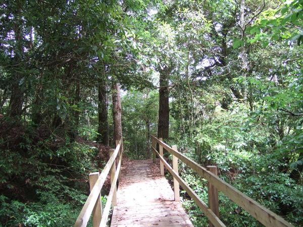 DSCF0884.JPG