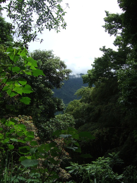 DSCF0889.JPG