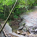 DSCF0893.JPG