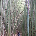 DSCF0894.JPG