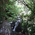 DSCF0896.JPG