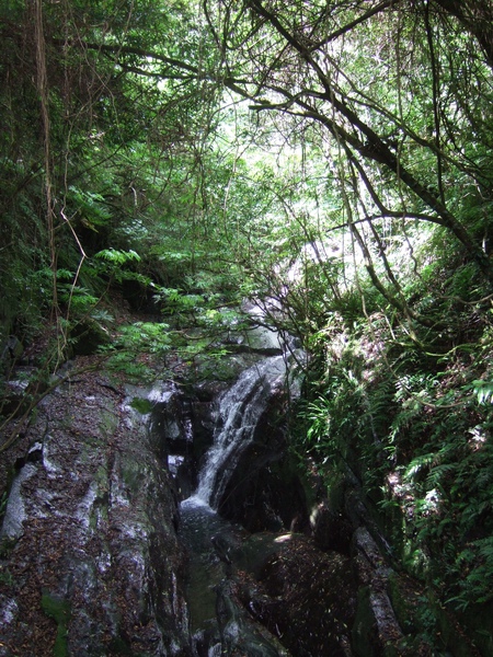 DSCF0897.JPG